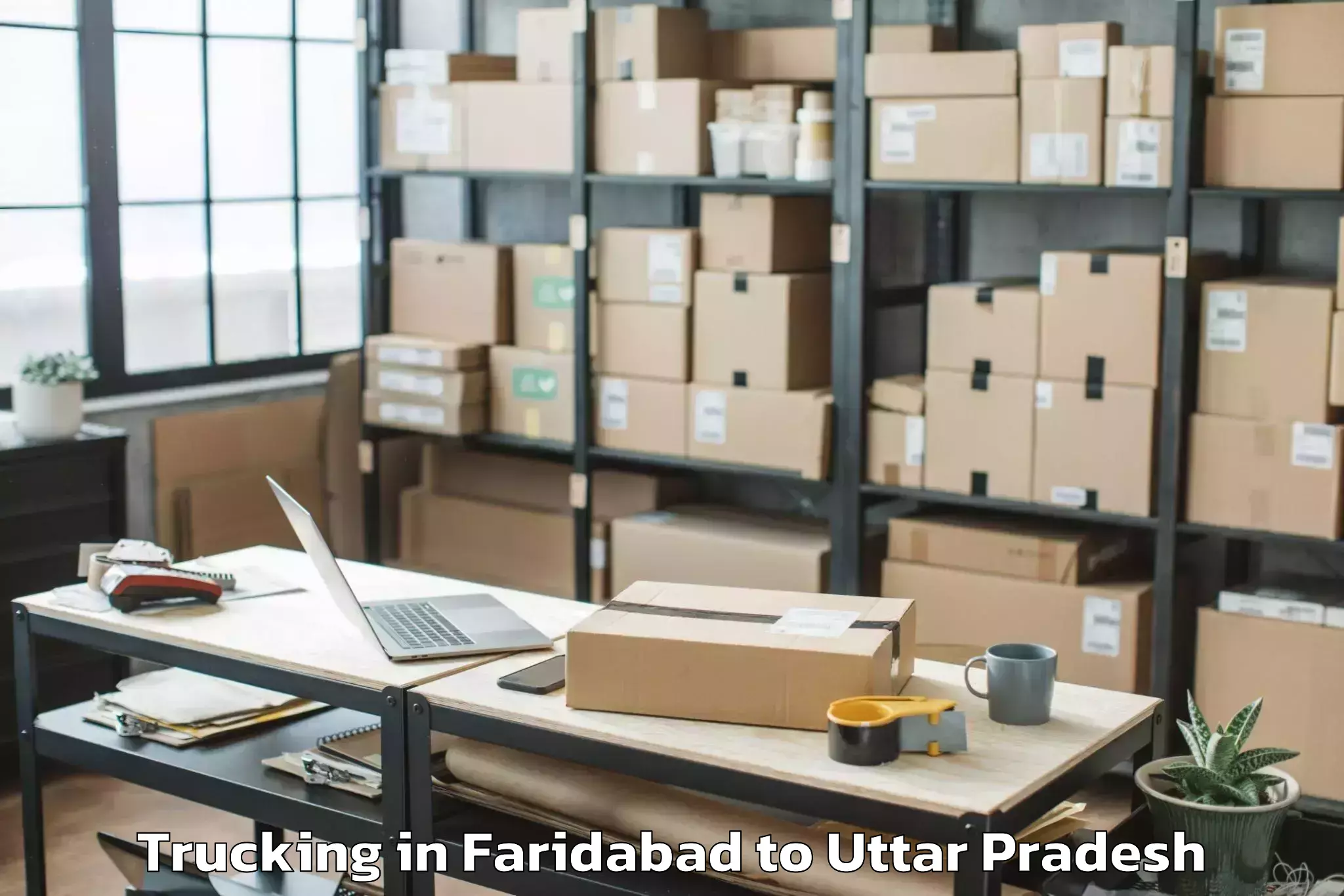 Expert Faridabad to Umaro Mall Lucknow Trucking